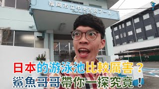 【日本游泳池初體驗】鯊魚哥哥要發展去日本了？