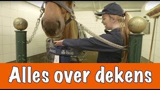 Eerste Hulp Bij Dekens! (Deel 1) | PaardenpraatTV