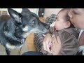 BABY & DOG CONNECTION! - April 21, 2013 - itsJudysLife Vlog