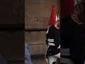 The kings guards guarding the arches #horseguardsparade