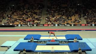 LI Dan (CHN) - 2015 Trampoline Worlds - Qualification TR Routine 2