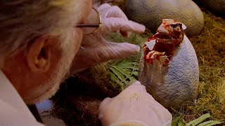 Jurassic Park Famous Scenes - Why Dinosaurs were Reconstructed DNA Creation Process - Best Movies