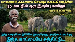 யானைக்காட்டில் 80 வயதில் ஒரு இரும்பு மனிதர் / சாயங்காலம் 6 மணிக்கு மேலே யாரும் ஊருக்குள்ள வரமுடியாது