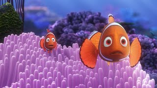 Coral Death Scene | Finding Nemo