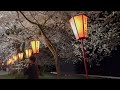 能登さくら（鹿島）駅　夜桜×電車×月