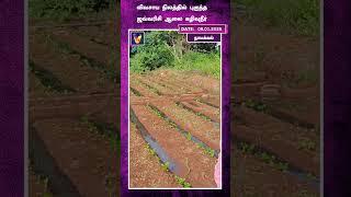 விவசாய நிலத்தில் புகுந்த ஜவ்வரிசி ஆலை கழிவுநீர் | Namakkal | Farmers | Water Issue