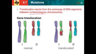 8.7 mutations