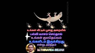 உங்கள்வீட்டில் பூஜைஅறையில் பல்லி வாசம்செய்தால் உங்கள் குலதெய்வம் உங்களிடம் இருக்கிறது என்றுஅர்த்தம்