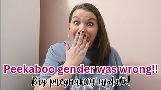 PEEKABOO GENDER WAS WRONG || Big Pregnancy update!