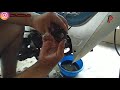 yamaha Y100 - TUKAR OIL SEAL CRANSHAFT - VLOG (PART 2)