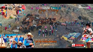 HERRANZA DE LA FAMILIA QUISPE HUARCAYA  en la loma de San Antonio de sañuilca Santiago de Chocorvos