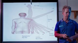 Causes of Shoulder, Cervical \u0026 Nerve Pain and the Brachial Plexus