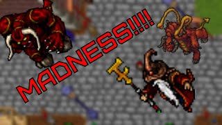 This was CRAZY! Tibia monster rampage testserver summer update 2022