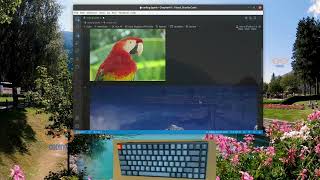 Basic Image Processing with Python | How to blending, superimposing and adding Two Images | ASMR