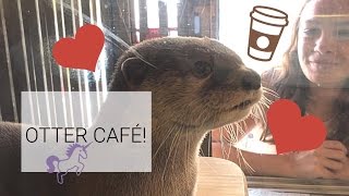 Otter Cafe!! + Ferrets and Hedgehogs