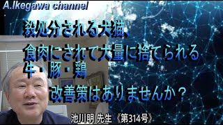 【胎内記憶】池川明チャンネル（第314号）殺処分される犬猫、食肉にされて大量に捨てられる牛・豚・鶏、改善策はありませんか？