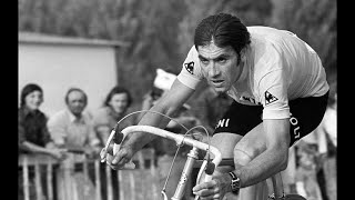 Dedicato a Eddy Merckx - il cannibale