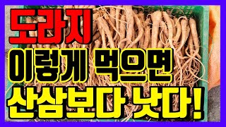 도라지 이렇게 먹으면 산삼보다 더 좋다! 먹는  방법에 비밀이 있었다!!