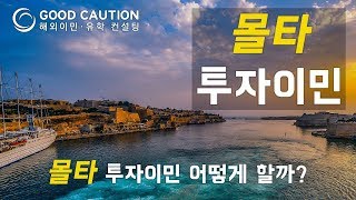 몰타 투자이민, 유럽국가로의 이민(자막지원)