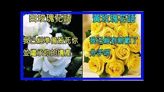 小心！買花沒查花語，「送這７朵花絕對直接分手」＃２康乃馨竟然是鄙視別人＃３送這朵絕對被告性騷擾！？