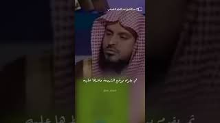 شاهد- تسمية الفتنة يرجع إلى فهم الشريعة #الشيخ_عبدالعزيز_الطريفي #عبدالعزيز_الطريفي