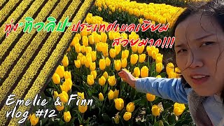 vlog#12 ทุ่งดอกทิวลิปสวยมาก คนไทยในต่างแดน @-bigfamily (subtitle EN/NL/TH)