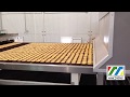 Rusk production line 蛋糕麵包乾生產線