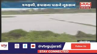 Porbandar ના ટુકડા ગામમાં ખેતરોમાં પાણી ભરાતા પાક નિષ્ફળ, વરસાદી પાણીથી પાકને નુકસાન