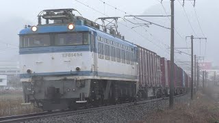 【JR貨物】１０６３レ ＥＦ８１-４５４ エコライナー積載