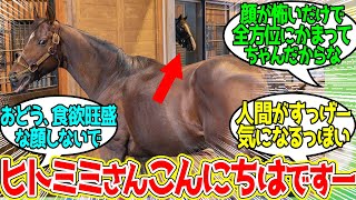 イクイノックス ← ホントにいっつも顔出してんなお前…に対するみんなの反応！【競馬 の反応集】