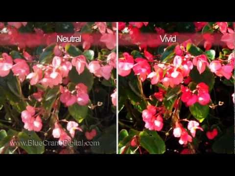 Shoot Great Video With Your Nikon DSLR: 2nd Edition Shoot Great Video With Your Nikon DSLR: 2nd Edition