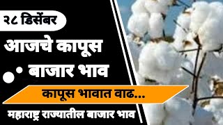 २८ डिसेंबर | आजचे कापूस बाजार भाव | cotton market rate | kapus bajar bhav ajche | महाराष्ट्र कापूस