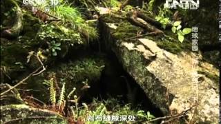 20130908 地理中国 地球家园-莽山寻蛇记 下