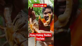 Crab hunting videos