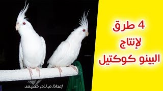 كيفية انتاج الالبينو كوكتيل | مدعم بالصور