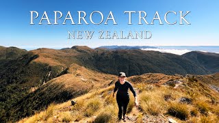 4K Paparoa Track | Hiking New Zealand | Great Walks No 1