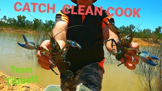 Beautiful Freshwater  BLUECLAW YABBIE ( catch clean cook crawfish , yabby )