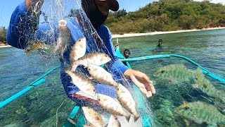 Bagong teknik sa panghuhuli ng isda gamit ang lambat