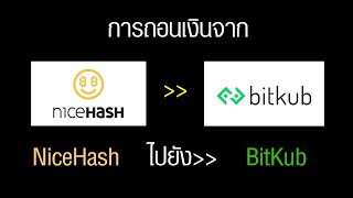 วิธีการถอนเงินจาก Nice Hash ไปยังบัญชี BitKub ง่ายๆ 2021