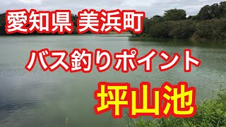 坪山池 愛知県 美浜町 バス釣りポイント ブラックバス