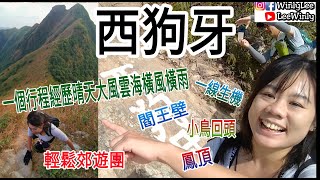 [豬扒妹山系Vlog#1] [西狗牙] 石壁郊遊徑、西狗牙、一線生機、閻王壁、小鳥回頭、斬柴坳、鳳凰山、伯公坳 2020-11-21-winly