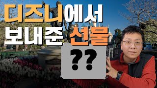 99% 한국 디즈니팬이 모르는 찐 디즈니 팬 클럽 | D23 | 디즈니에서 보내준 선물