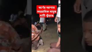 স্বর্ণের আশায় সহস্রাধিক মানুষ মাটি খুঁড়ছে, নিরাপত্তায় ১৪৪ ধারা জারি