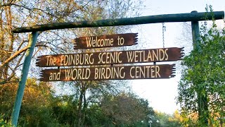 Edinburg Scenic Wetlands \u0026 World Birding Center | Texas Travel | Walk Through Review