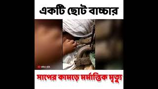 একটি ছোট বাচ্চার সাপের কামড়ে মর্মান্তিক মৃত্যু