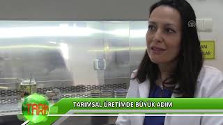 Tarımsal üretimde büyük adım