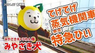 【みやざき犬】てげてげ蒸気機関車ひぃ：2021.07宮崎駅