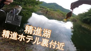 精進湖 廃墟 精進ホテル裏でバス狙い 水中映像あり おかっぱりポイントを探す旅