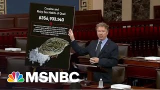 Why Rand Paul Is Upset About Quails On Cocaine | All In | MSNBC