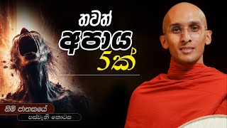 363. තවත් අපාය 5ක් | නිමි ජාතකය | 2024-06-05